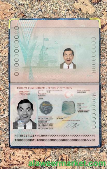 New Turkey Passport photo look